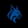 JobLinx lynx logo